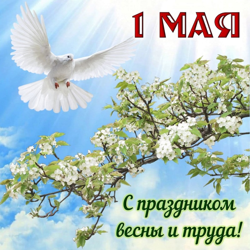 Спраздником мира, весны и труда!