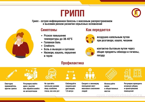 Что такое грипп и какова его опасность?
