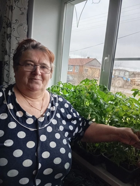 Обслуживаемые выращивают рассаду