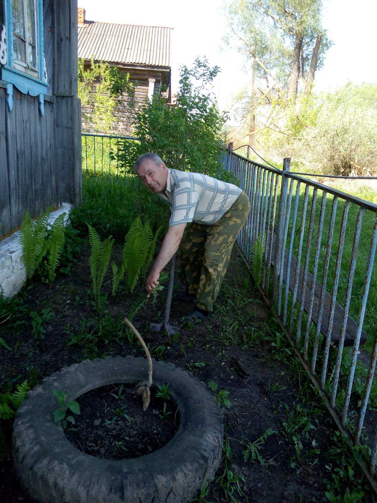 ГБУ «Комплексный центр социального обслуживания населения Нижегородского  района города Нижнего Новгорода» - Бригадный подряд